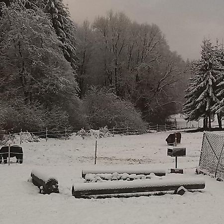 Muehlenhof Stadtkyll Luaran gambar