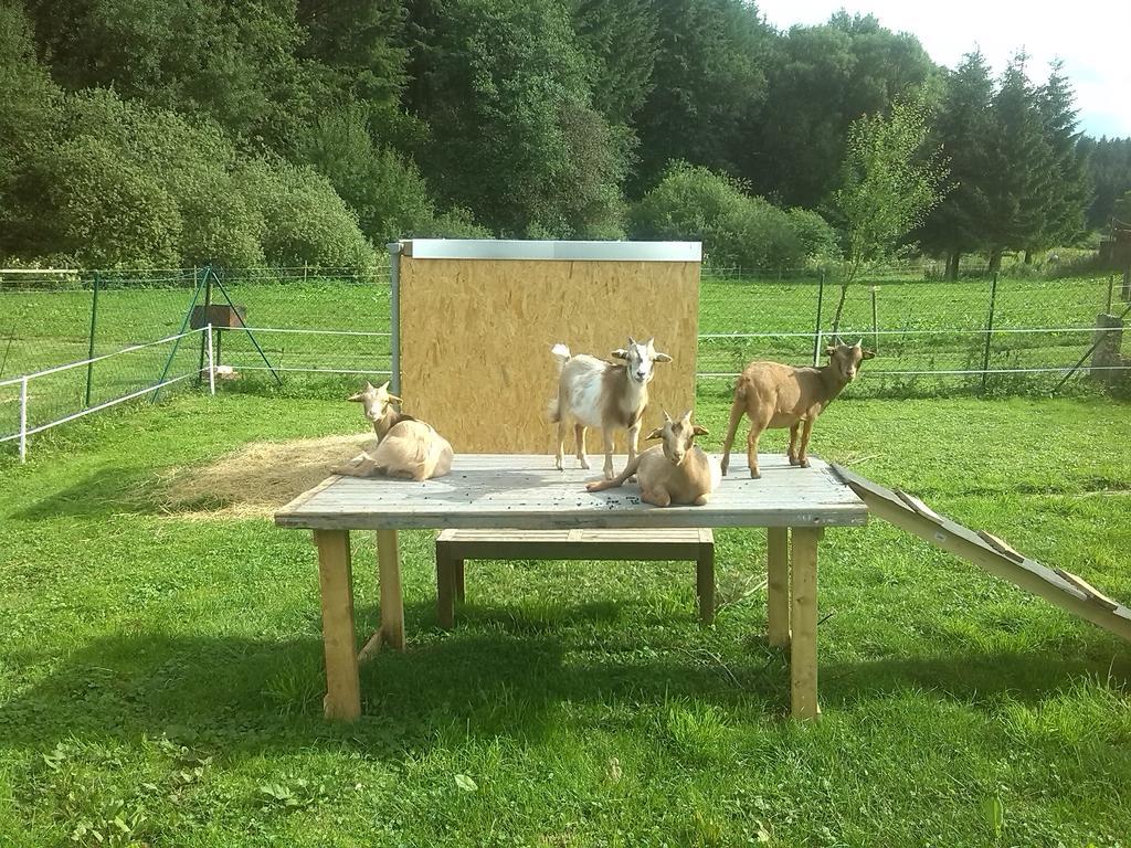 Muehlenhof Stadtkyll Luaran gambar