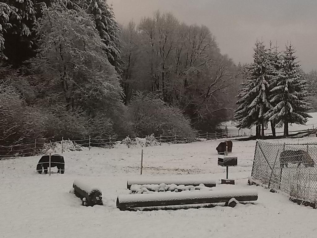 Muehlenhof Stadtkyll Luaran gambar